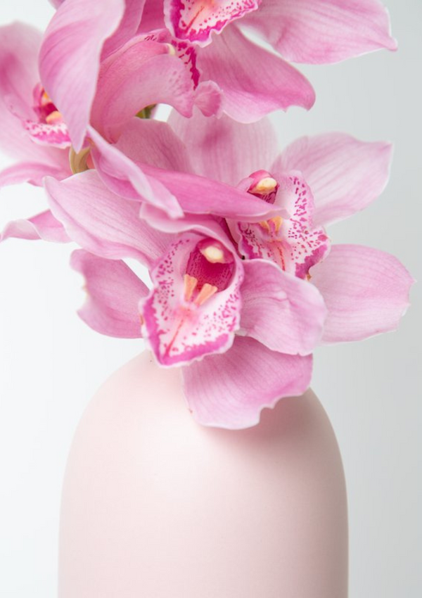 Cocoon Vase | Blush