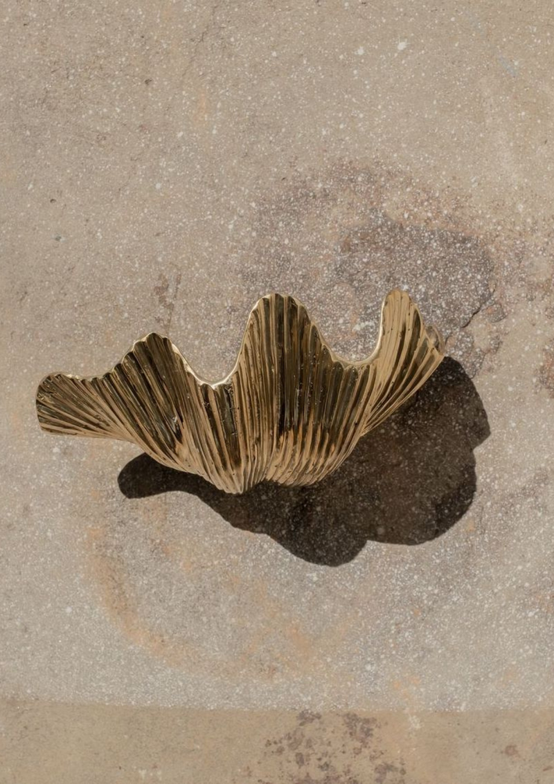 Brass Clam