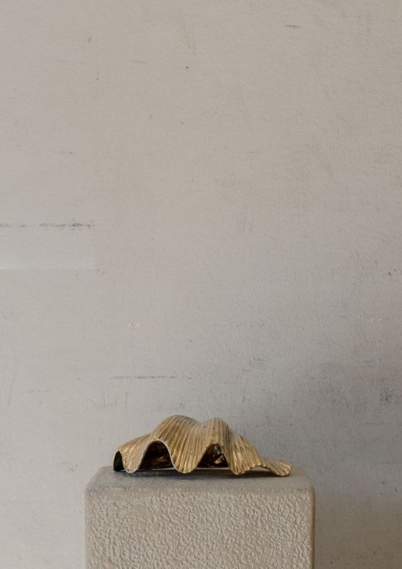 Brass Clam