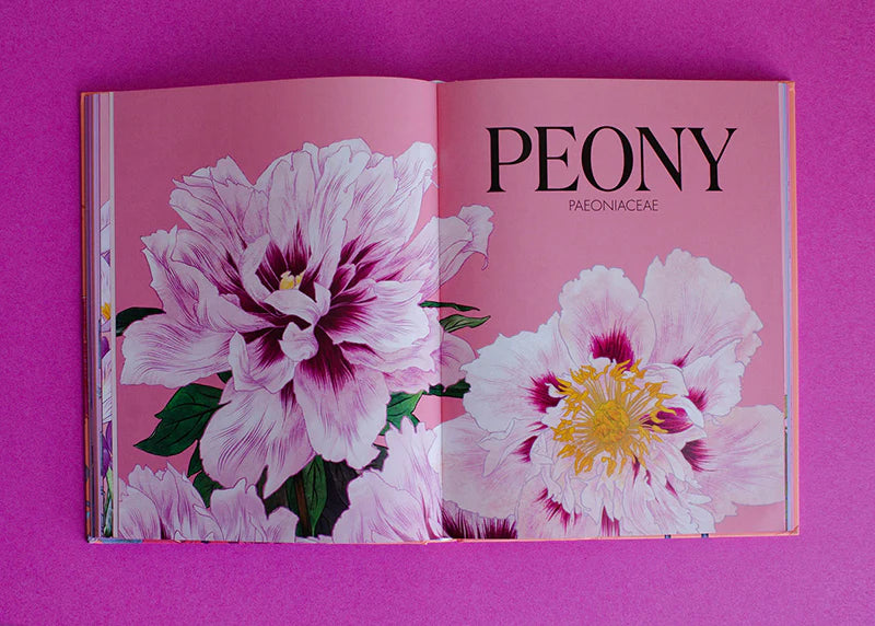 Petal | Book