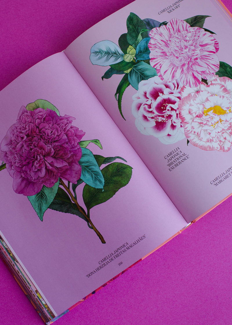 Petal | Book