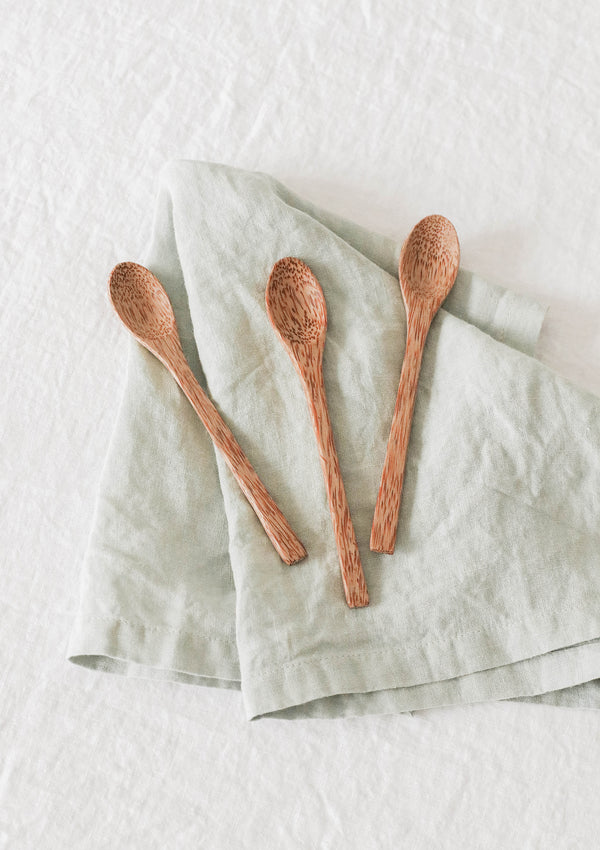 Coconut Wood Spoon