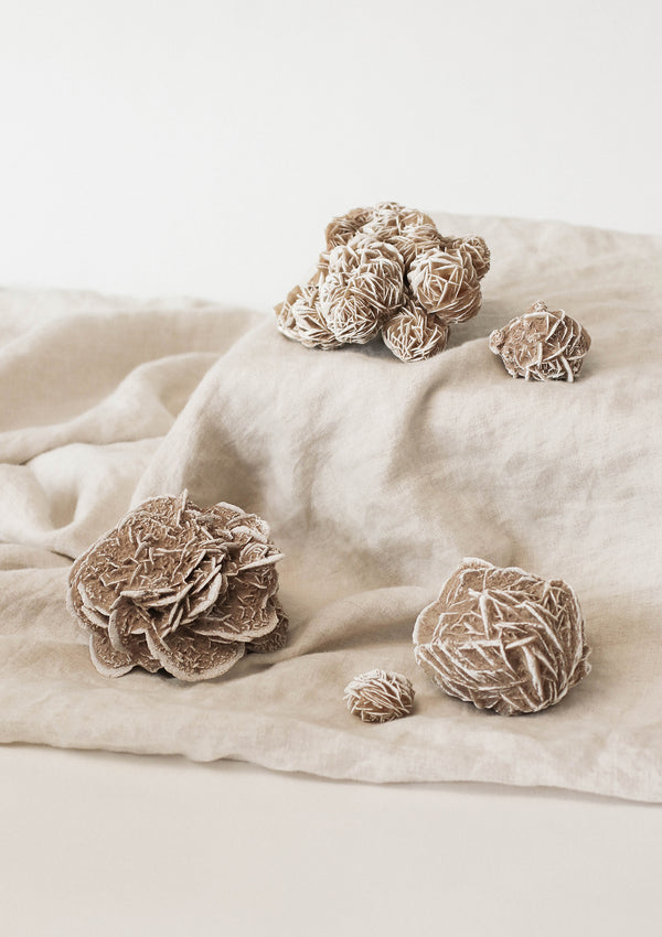 Desert Rose Selenite Cluster