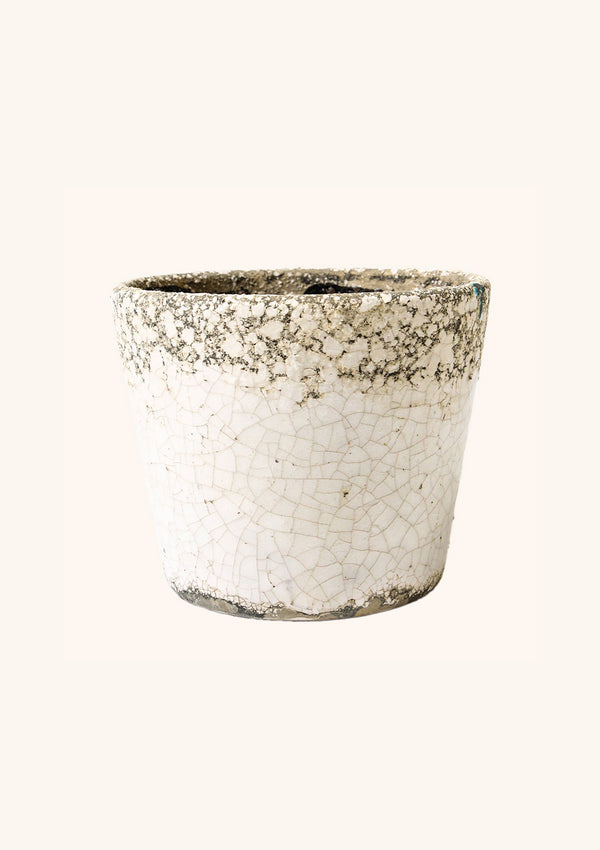 Moss Ceramic Pot