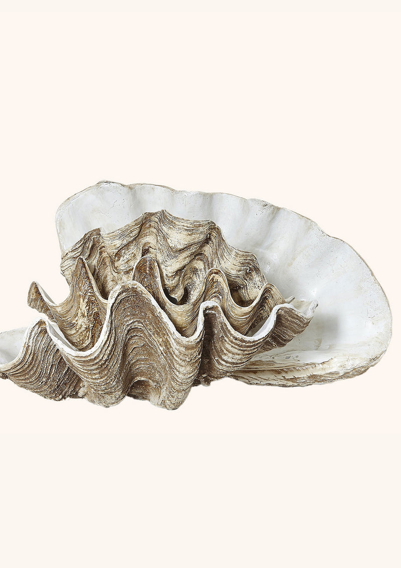 Vintage Clam